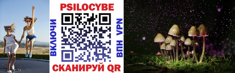 ОМГ ОМГ   Катав-Ивановск  Галлюциногенные грибы Psilocybine cubensis 